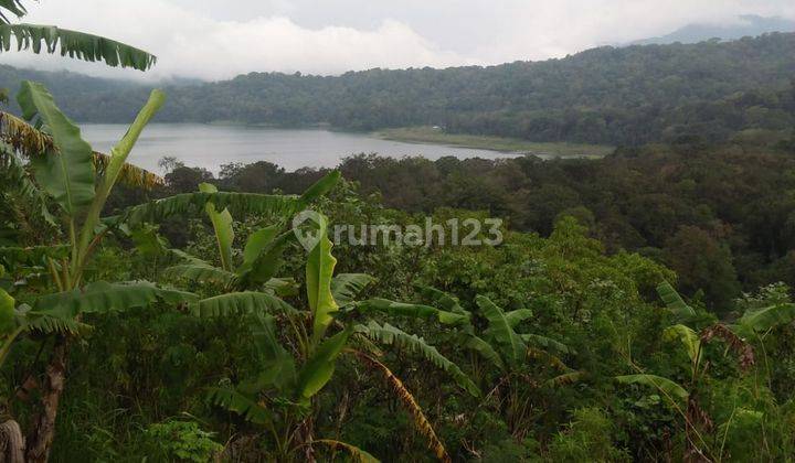 Dijual Tanah Kawasan Wisata Lokasi Munduk Tamblingan 1