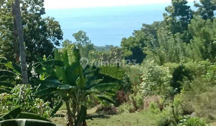 Sea View Land for sale Bukit Asah Bugbug Karagasem 2