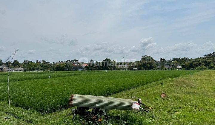 Land for sale at Umalas Krobokan location  1