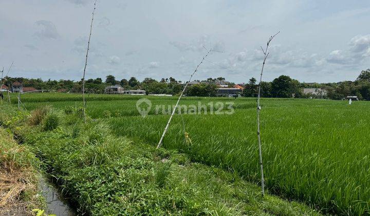 Land for sale at Umalas Krobokan location  2