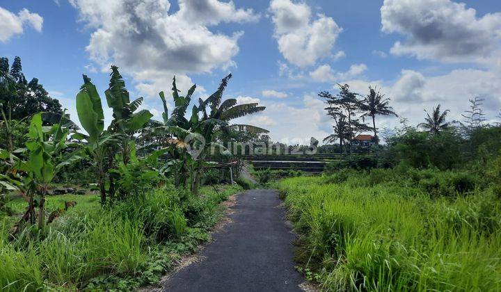 Land for sale Mas Ubud Gianyar Bali 1