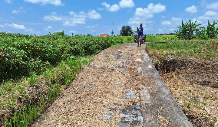 Land for sale Mas Ubud Gianyar Bali 2