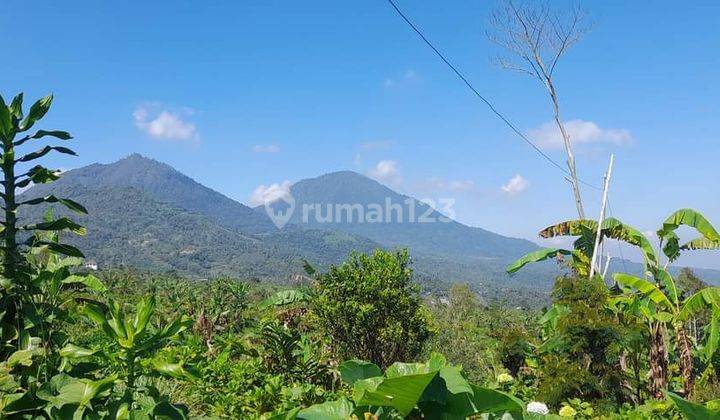 Dijual Tanah View Laut Lokasi Munduk  1