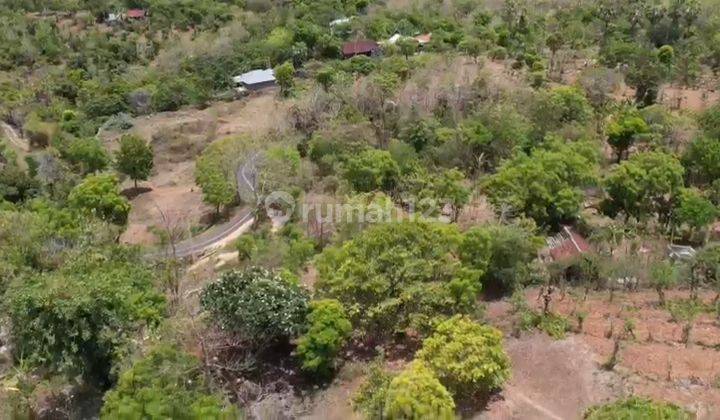 Land for sale at Pacung Pondok Batu Tejakula Buleleng 2