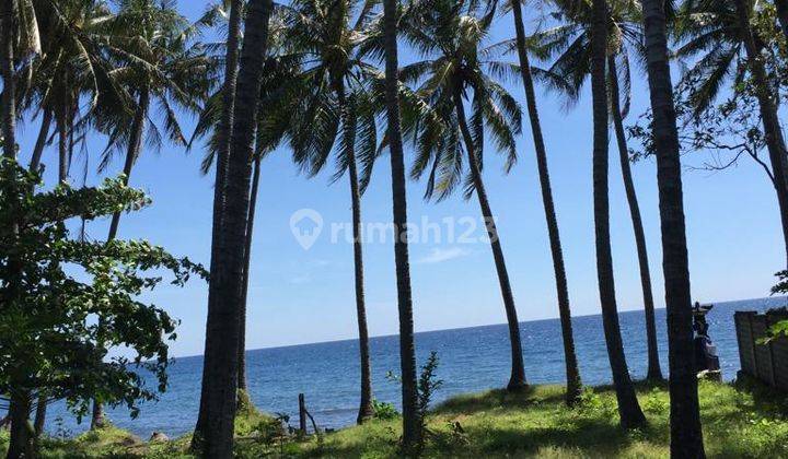 Land for sale in Tianyar Kubu Karangasem 2