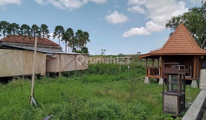 Land for sale located on Jalan Tuka Dalung North Kuta 1