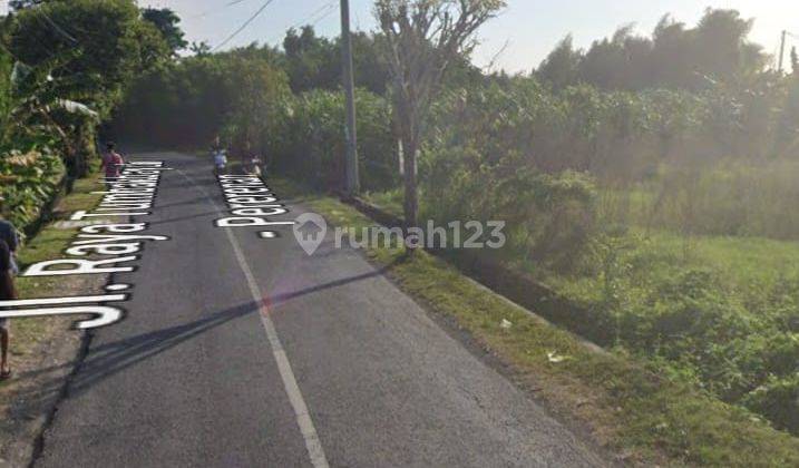 Dikontrakan Tanah di Jalan Utama Tumbak Bayuh 2