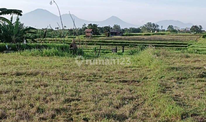 Dijual Tanah View Sawah Lokasi Krobokan Kaja Kuta Utara 2