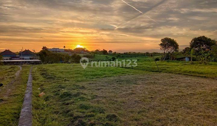 Dijual Tanah View Sawah Lokasi Krobokan Kaja Kuta Utara 1