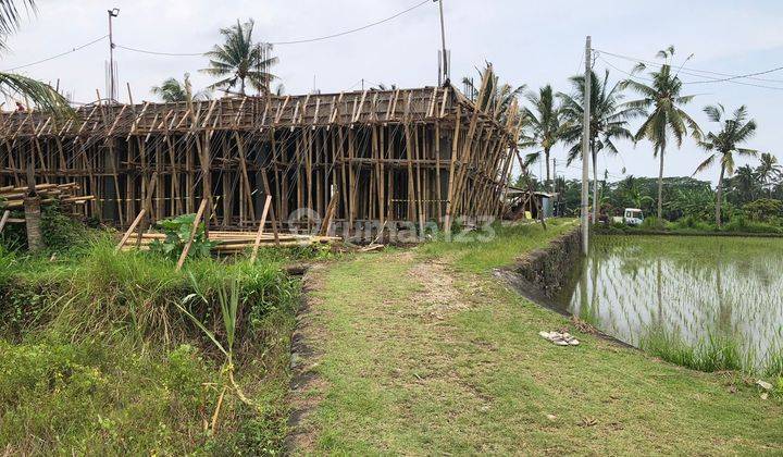 Dikontrakkan Tanah Lokasi Pejeng Kelod Dekat Ubud 2