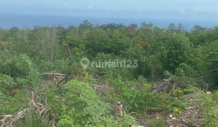 Dikontrakkan Tanah Lokasi Pecatu Kuta Selatan Badung 1