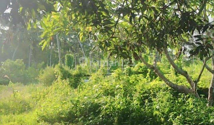 Land for sale in Kemenuh Gianyar Bali 1