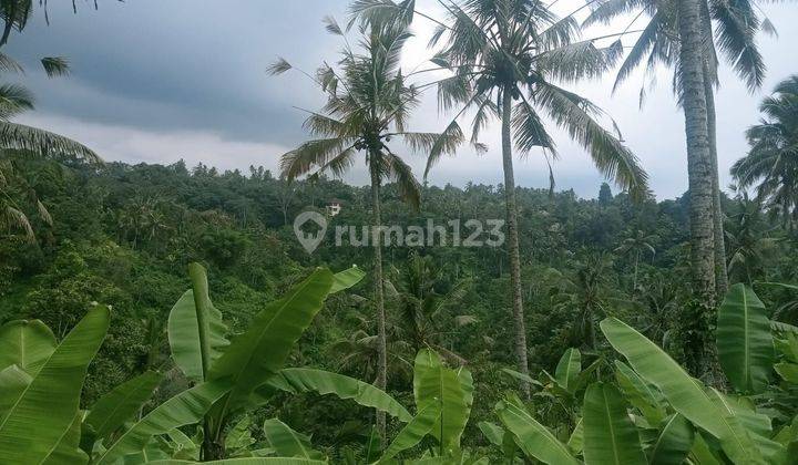 Land for sale at Gianyar tegallalang taro location 1