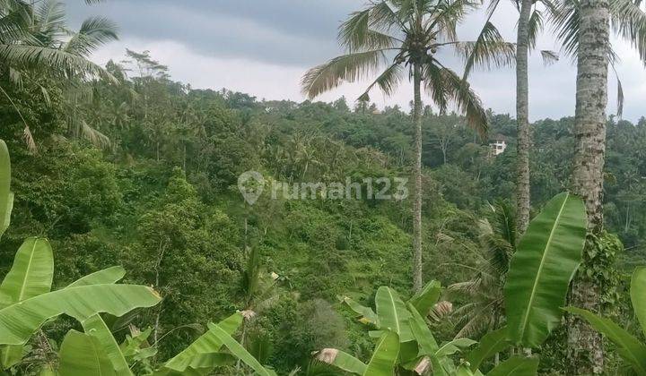 Land for sale at Gianyar tegallalang taro location 2