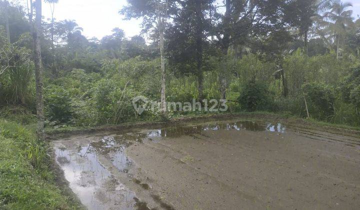 Dijual tanah lokasi puakan taro tegallalang gianyar 2