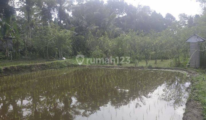 Dijual tanah lokasi puakan taro tegallalang gianyar 1