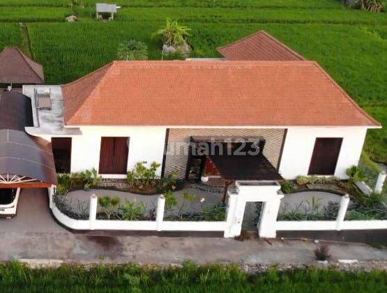 Villa for sale in Lovina, Buleleng, Bali 1