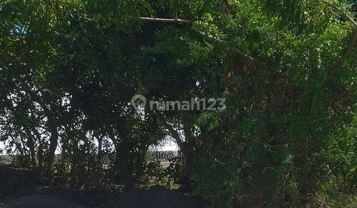 Land for sale in Tukad Badung, South Renon, South Denpasar 2