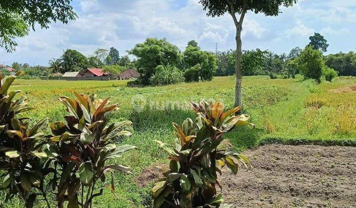 Dijual tanah lokasi sibang gede abian semal badung 2