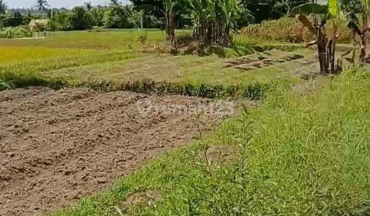 Dijual tanah lokasi sibang gede abian semal badung 1