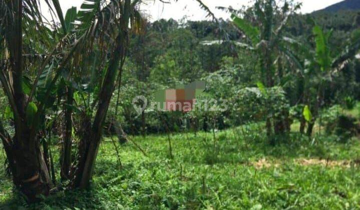 Dijual tanah berisi mata air lokasi jatiluwih tabanan 2