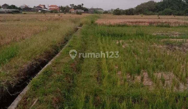 Dijual tanah lokasi nyambu kaba kaba tabanan bali 1