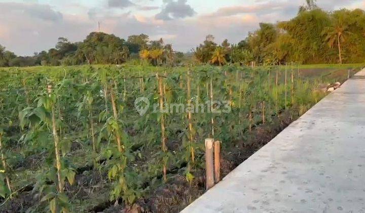 Land for sale in Kedungu, Tabanan, Bali 1