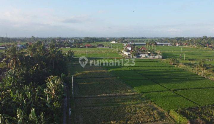 Dijual tanah lokasi beraban kediri tabanan 1