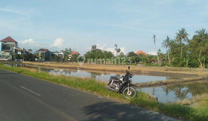 Land for rent at the location of Cica Buduk Mengwi 2