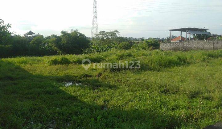 Land for rent at the location of Cica Buduk Mengwi 1