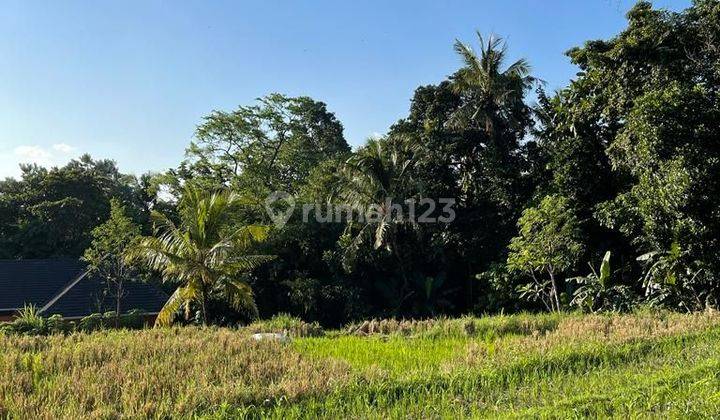 Dikontrakkan tanah lokasi kaba kaba tabanan bali 2