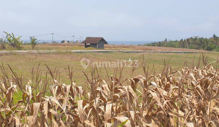 Dijual Tanah Lokasi Tegal Mengkeb Tabanan 2