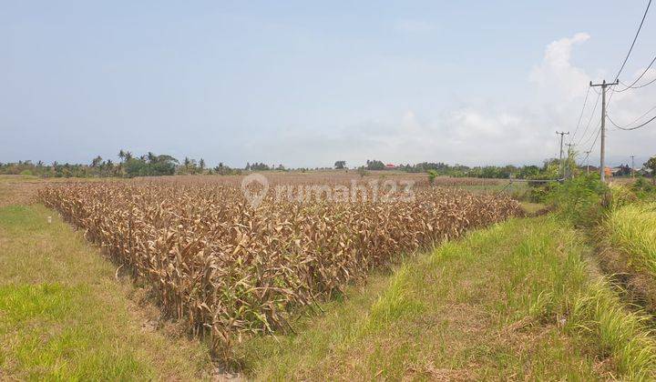 Dijual Tanah Lokasi Tegal Mengkeb Tabanan 1