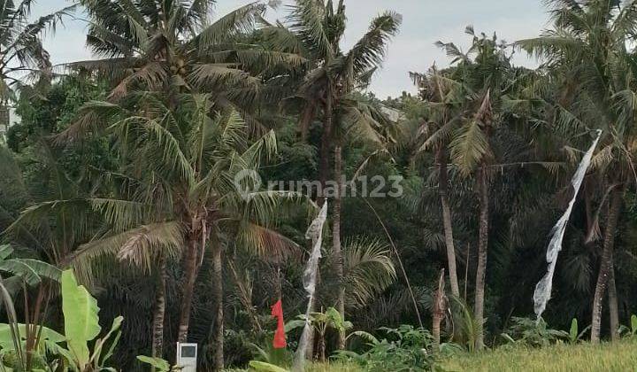 Land for rent in Sukawati Gianyar Bali 1