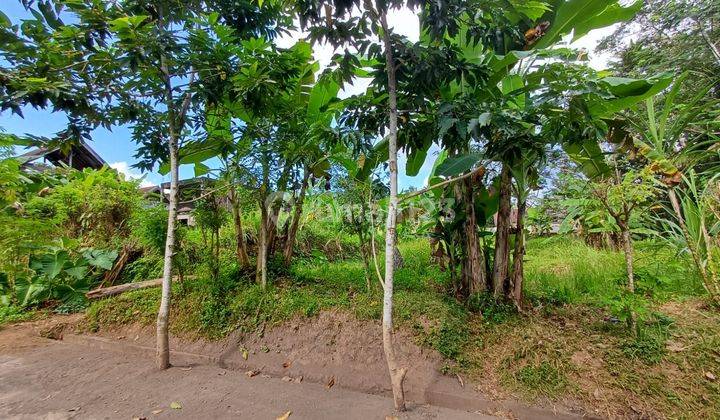 SURE DEAL IN LAND FOR SALE LOCATION PEJENG UBUD GIANYAR 1