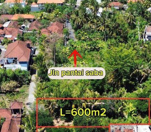 ZZZZ SUSUSUSUPER DEAL DI JUAL TANAH LOKASI SABA BLAHBATUH GIANYAR 2