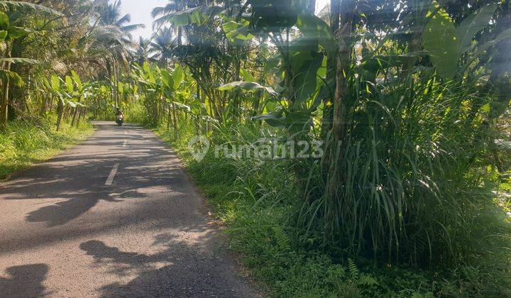 PASTI DEAL DI JUAL TANAH LOSS SUNGAI WOS PINGGIR JALAN LOKASI TEGALLALANG UBUD GIANYAR
 1