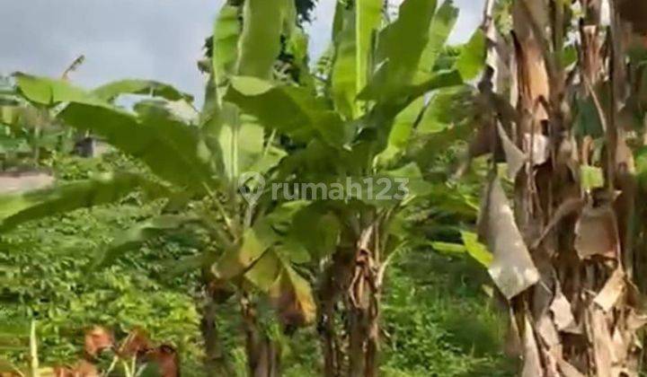 ZZZZ SUSUSUSUPER DEAL DI JUAL TANAH VIEW SAWAH & HUTAN LOKASI MAS UBUD GIANYAR
 1