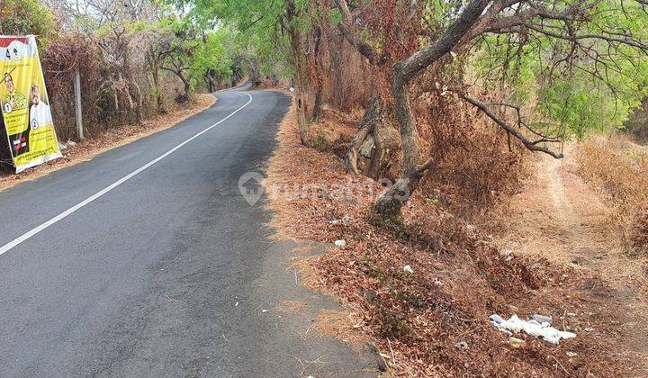 PASTI CLOSING DI JUAL TANAH VIEW LAUT LOKASI CEMPAGA TEMUKUS BULELENG 2