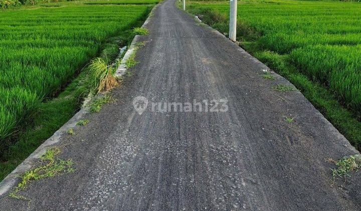 Zzzz SURE DEAL FOR SALE LAND IN LIMA MUNGGU BEACH LOCATION, MENGWI, BADUNG 2