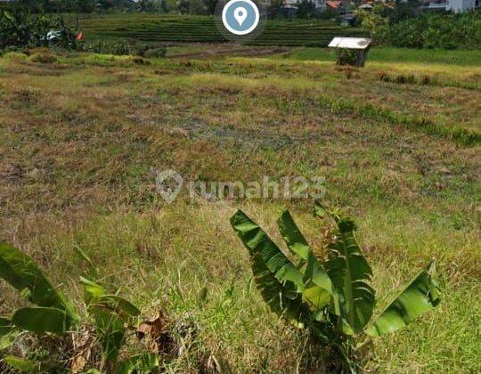 PUSSY SATISFIED SSSS
LAND FOR SALE IN ABASAN BANJAR TANDEG BRAWA CANGGU NORTH KUTA BADUNG 2