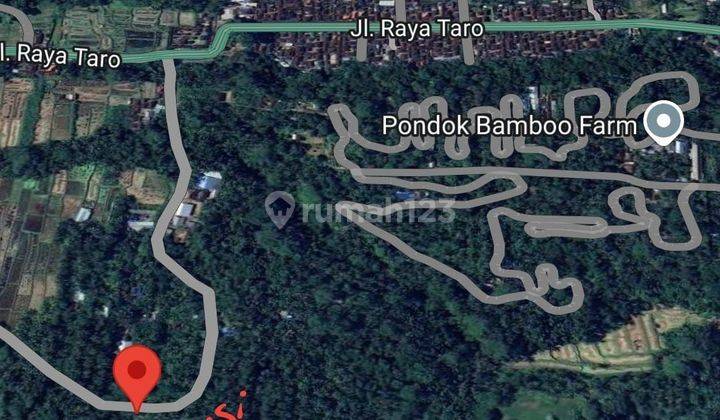 PASTI DEAL DI JUAL TANAH LOSS SUNGAI WOS PINGGIR JALAN LOKASI TEGALLALANG UBUD GIANYAR
 2