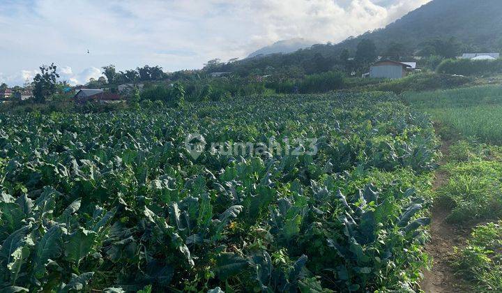 SURE DEAL FOR SALE LAND WITH LAKE VIEW AT KUNING TEMPLE LOCATION BEDUGUL BATURITI TABANAN 2