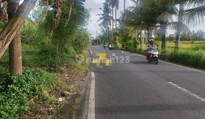 SURE DEAL FOR SALE ROADSIDE LAND LOCATION PAYANGAN UBUD GIANYAR 1