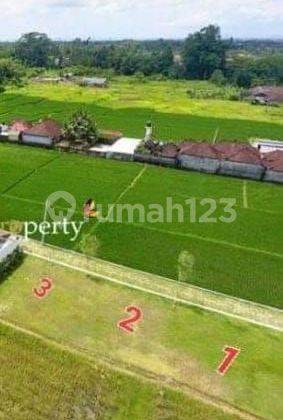 SUSUSUSUPER DEAL FOR SALE OF LAND LOCATION LODTUNDUH UBUD GIANYAR 1