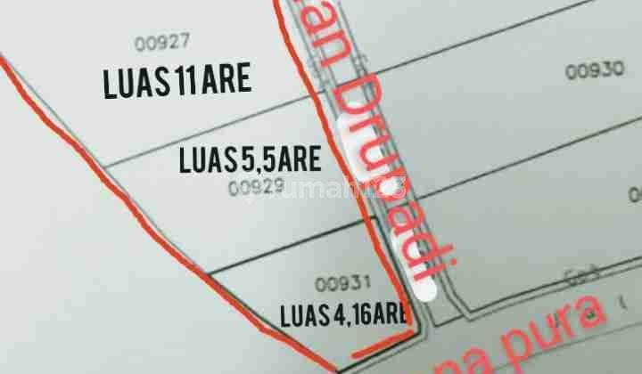 SURE DEAL ON LAND FOR SALE LOCATION DRUPADI SEMINYAK KUTA BADUNG  1