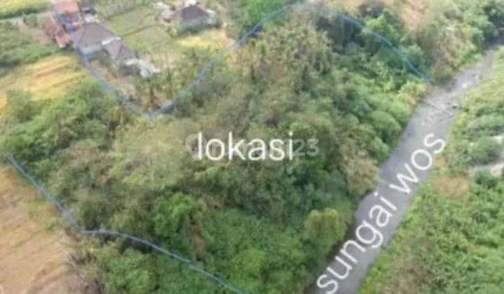 ZZZZ SUSUSUPER DEAL FOR SALE LOSS SUNGAI LAND LOCATION GLOGOR LODTUNDUH UBUD GIANYAR
 1