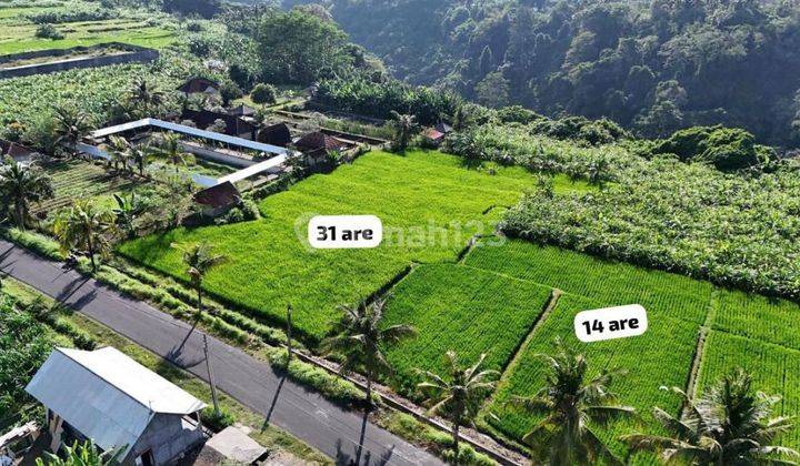 Susususperr Deal Di Jual Tanah Lokasi Kemenuh Ubud Gianyar 1