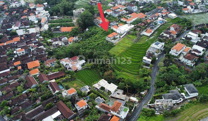 SUSUSUSUPER DEAL DI JUAL TANAH LOKASI CANGGU KUTA UTARA BADUNG 1