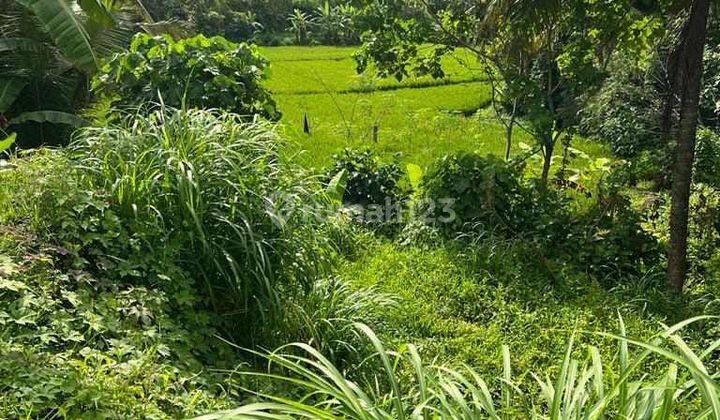 ZZZZ SUSUSUSUPER DEAL DI JUAL TANAH VIEW SAWAH & HUTAN LOKASI MAS UBUD GIANYAR
 2